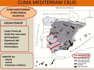 CLIMA MEDITERRANI CÀLID
CLIMA MEDITERRANI
D’INFLUÈNCIA
ATLÀNTICA
LOCALITZACIÓ
- Costa: Punta de
Tarifa fins tram baix
del Guadiana.
- Depressió del
Guadalquivir
- Extremadura
VARIETAT per
- Altitud
- Latitud
- Proximitat a l’Atlàntic
 