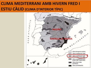 CASTELLA LA MANXA
MADRID
CLIMA MEDITERRANI AMB HIVERN FRED I
ESTIU CÀLID (CLIMA D’INTERIOR TÍPIC)
 