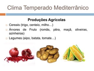 Clima Temperado Mediterrânico
Produções Agrícolas





Cereais (trigo, centeio, milho…)
Árvores de Fruto (romãs, pêra, maçã, oliveiras,
azinheiras)
Legumes (aipo, batata, tomate…)

 