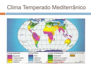 Clima Temperado Mediterrânico

 