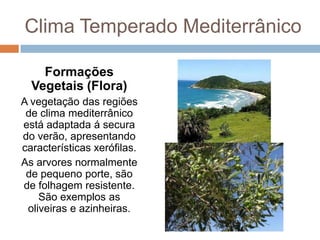 Clima Temperado Mediterrânico
Formações
Vegetais (Flora)
A vegetação das regiões
de clima mediterrânico
está adaptada á secura
do verão, apresentando
características xerófilas.
As arvores normalmente
de pequeno porte, são
de folhagem resistente.
São exemplos as
oliveiras e azinheiras.

 