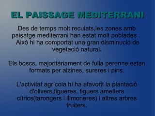 Des de temps molt reculats,les zones amb
paisatge mediterrani han estat molt poblades .
Això hi ha comportat una gran disminució de
vegetació natural.
Els boscs, majoritàriament de fulla perenne,estan
formats per alzines, sureres i pins.
L'activitat agrícola hi ha afavorit la plantació
d'olivers,figueres, figuers ametlers
cítrics(tarongers i llimoneres) i altres arbres
fruiters.
EL PAISSAGE MEDITERRANIEL PAISSAGE MEDITERRANI
 