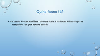 Quina fauna té?
• Als boscos hi viuen mamífers i diversos ocells. a les landes hi habiten petits
rosegadors, i un gran nombre d’ocells.
 
