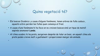 Quina vegetació té?
• Els boscos Oceànics ,a causa d’alguns fenòmens, tenen arbres de fulla caduca ,
aquests arbre perden les fulles quan comença el fred.
• A causa d‘uns fenòmens hi ha llocs on no creixen boscos sinó un tipus de matoll
espinós anomenat Landa.
• Al clima oceànic hi ha prats, sorgeixen desprès de talar un bosc. en aquest clima els
prats poden creixe molt a gustament i proporcionen menjar als animals.
•
 