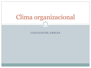 Clima organizacional

    CANTALOUBE ADRIAN
 