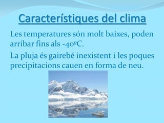 Característiques del clima
Les temperatures són molt baixes, poden
arribar fins als -40ºC.
La pluja és gairebé inexistent i les poques
precipitacions cauen en forma de neu.
 
