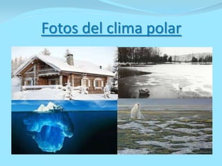 Fotos del clima polar
 