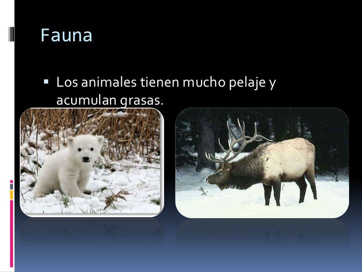 Clima polar de tundra