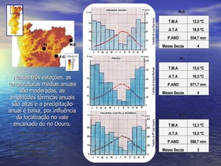 M.D Pi F.C T.M.A 12,0 ºC A.T.A 16,9 ºC P.ANO 554,7 mm Meses Secos 4 T.M.A 12,3 ºC A.T.A 16,6 ºC P.ANO 590,7 mm Meses Secos 3 T.M.A 15,6 ºC A.T.A 16,5 ºC P.ANO 671,7 mm Meses Secos 4 M.D Pi F.C T.M.A . – Temperatura média anual A.T.A. – Amplitude térmica anual P.ANO – Precipitação total anual Meses Secos – Nº meses secos Legenda Trabalho de António Machado Trabalho de Luísa Quaresma Trabalho de Mª João Teixeira Nestas três estações, as temperaturas médias anuais são moderadas, as amplitudes térmicas anuais são altas e a precipitação anual é baixa, por influência da localização no vale encaixado do rio Douro. [Análise elaborada por Mª João Teixeira] 