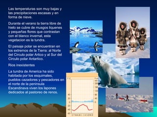 Las temperaturas son muy bajas y las precipitaciones escasas y en forma de nieve. Durante el verano la tierra libre de hielo se cubre de musgos liquenes y pequeñas flores que contrastan con el blanco invernal, esta vegetacion es la tundra. El paisaje polar se encuentran en los extremos de la Tierra: al Norte del Circulo polar Artico y al Sur del Circulo polar Antartico. Rios inexistentes La tundra de America ha sido habitada por los esquimales, pueblos cazadores y pescadores en el norte de la peninsula Escandinava viven los lapones dedicados al pastoreo de renos. 