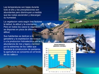 Las temperaturas son bajas durante todo el año y las precipitaciones son abundantes pero disminuyen a medida que las nubes ascienden y descargan su humedad. La vegetacion varia según tres factores la latitud, la altitud y la orientacion. Pero en todos los casos la vegetacion se dispones en pisos de diferente altitud. Sus habitantes se dedican a la ganaderia y la explotacion del bosque o a la produccion hidroelectrica por la abundancia de rios y lagos y tambien por la estrechez de los valles que favorece la construccion de pantanos, la agricultura se concentra en el fondo de los valles.e 