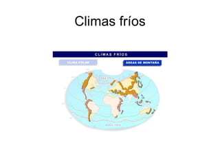 Climas fríos 