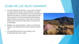 CLIMA DE LAS ISLAS CANARIAS 
 Las islas Canarias presentan, a causa de su latitud, 
un clima distinto al del resto de España. Las islas 
orientales se ven influenciadas por la proximidad del 
desierto del Sahara, aunque el rasgo distintivo del 
clima canario lo marca la presencia del Atlántico, 
determinado a su vez por la acción de los vientos 
alisios y la corriente fría que lleva el nombre del 
archipiélago. 
 Debido a sus altas presiones, existe un clima muy 
estable, con temperaturas suaves durante todo el 
año. 
 Las precipitaciones son muy escasas y van 
aumentando de este a oeste. 
 