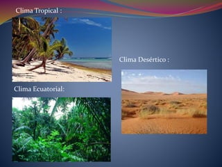 Clima Tropical :
Clima Desértico :
Clima Ecuatorial:
Clima Ecuatorial:
 
