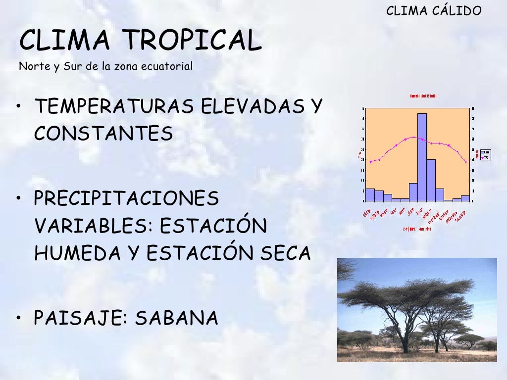 CLIMA TROPICAL   Norte y Sur de la zona ecuatorial <ul><li>TEMPERATURAS ELEVADAS Y CONSTANTES </li></ul><ul><li>PRECIPITAC...