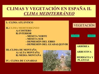 CLIMAS Y VEGETACIÓN EN ESPAÑA II.  CLIMA MEDITERRÁNEO I.- CLIMA ATLÁNTICO II.- CLIMA MEDITERRÁNEO A) COSTERO B) INTERIOR - MESETA NORTE - MESETA SUR - DEPRESIÓN DEL EBRO - DEPRESIÓN DEL GUADALQUIVIR III.-CLIMA DE MONTAÑA A) ALTA MONTAÑA B) MEDIA MONTAÑA IV.- CLIMA DE CANARIAS VEGETACIÓN NATURAL HUMANA ARBÓREA ARBUSTIVA HERBÁCEA Y PLANTAS 