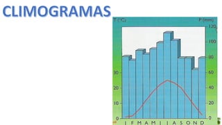 Oficina elaborada pela Professora FERNANDA BRUM LOPES - Geografia
 