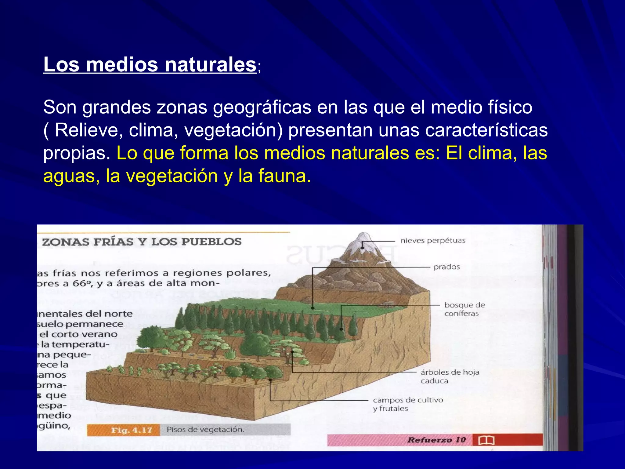 Los climas de la zona cálida. 2019. | PPT
