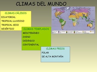 CLIMAS DEL MUNDO
CLIMAS CÁLIDOS
ECUATORIAL
TROPICAL LLUVIOSO
TROPICAL SECO
DESÉRTICO CLIMAS TEMPLADOS
MEDITERÁNEO
CHINO
OCEÁNICO
CONTINENTAL
CLIMAS FRIOS
POLAR
DE ALTA MONTAÑA
 