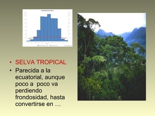 • SELVA TROPICAL
• Parecida a la
ecuatorial, aunque
poco a poco va
perdiendo
frondosidad, hasta
convertirse en …
 