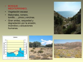 • BOSQUE
MEDITERRÁNEO.
• Vegetación escasa
• Matorrales, romero,
tomillo…, pinos y encinas.
• Gran aridez, sequedad y
degradación por la erosión,
incendios y actuaciones
humanas.
 