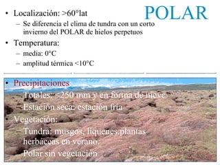 POLAR• Localización: >60°lat
– Se diferencia el clima de tundra con un corto
invierno del POLAR de hielos perpetuos
• Temperatura:
– media: 0°C
– amplitud térmica <10°C
• Precipitaciones:
– Totales: <250 mm y en forma de nieve
– Estación seca: estación fría
• Vegetación:
– Tundra: musgos, líquenes.plantas
herbáceas en verano.
– Polar sin vegetación
 