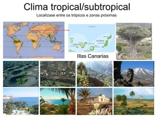 Clima tropical/subtropical Illas Canarias  Localízase entre os trópicos e zonas próximas 
