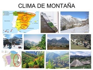CLIMA DE MONTAÑA 