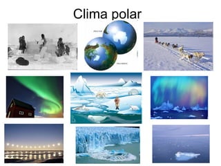 Clima polar 