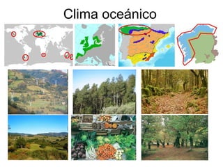 Clima oceánico 