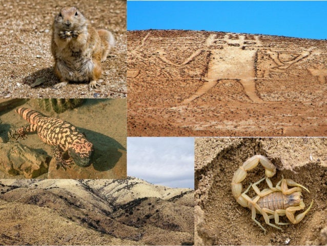 CLIMAS DE AMÉRICA.
