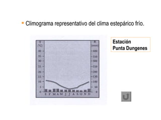 <ul><li>Climograma representativo del clima estepárico frío. </li></ul>Estación Punta Dungenes  