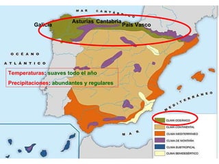 Temperaturas :  suaves todo el año Precipitaciones :  abundantes y regulares Galicia País Vasco Cantabria Asturias 