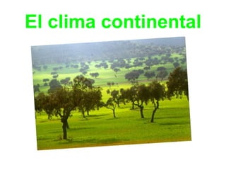 El clima continental
 