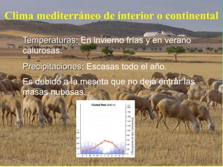 Clima mediterráneo de interior o continental 
Temperaturas: En invierno frías y en verano 
calurosas. 
Precipitaciones: Escasas todo el año. 
Es debido a la meseta que no deja entrar las 
masas nubosas. 
 