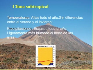Clima subtropical 
Temperaturas: Altas todo el año.Sin diferencias 
entre el verano y el invierno. 
Precipitaciones: Escasas todo el año. 
Ligeramente más húmedo el norte de las 
islas. 
 