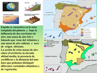 España se encuentra en la zona 
templada del planeta y bajo la 
influencia de dos corrientes de 
aire; una masa de aire frío y 
húmedo que viene del Atlántico y 
una masa de aire caliente y seco 
de origen africano. 
La acción de estas masas de aire 
sobre el territorio, la elevada 
altitud media, la presencia de 
cordilleras y la distancia del mar 
hace que podamos distinguir 
diferentes variedades climáticas y 
de vegetación. 
 