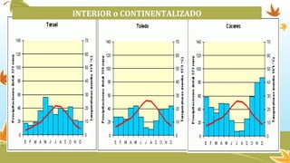 INTERIOR o CONTINENTALIZADO
 