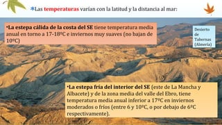 •La estepa cálida de la costa del SE tiene temperatura media
anual en torno a 17-18ºC e inviernos muy suaves (no bajan de
10ºC)
•La estepa fría del interior del SE (este de La Mancha y
Albacete) y de la zona media del valle del Ebro, tiene
temperatura media anual inferior a 17ºC en inviernos
moderados o fríos (entre 6 y 10ºC, o por debajo de 6ºC
respectivamente).
Las temperaturas varían con la latitud y la distancia al mar:
Desierto
de
Tabernas
(Almería)
 
