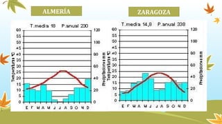 ALMERÍA ZARAGOZA
 