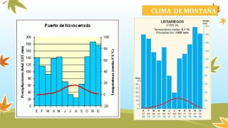 CLIMA DE MONTAÑA
 