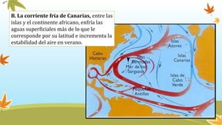B. La corriente fría de Canarias, entre las
islas y el continente africano, enfría las
aguas superficiales más de lo que le
corresponde por su latitud e incrementa la
estabilidad del aire en verano.
 