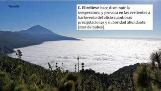 C. El relieve hace disminuir la
temperatura, y provoca en las vertientes a
barlovento del alisio cuantiosas
precipitaciones y nubosidad abundante
(mar de nubes)
Tenerife
 