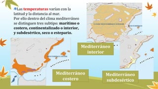 Las temperaturas varían con la
latitud y la distancia al mar.
Por ello dentro del clima mediterráneo
se distinguen tres subtipo: marítimo o
costero, continentalizado o interior,
y subdesértico, seco o estepario.
Mediterráneo
costero
Mediterráneo
interior
Mediterráneo
subdesértico
 