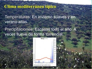 Clima mediterráneo típico
Temperaturas: En invierno suaves y en
verano altas.
Precipitaciones: Escasas todo el año. A
veces llueve de forma torrencial.
 
