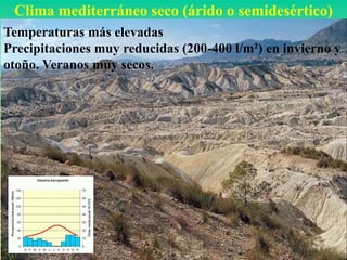 Clima mediterráneo seco (árido o semidesértico)
Temperaturas más elevadas
Precipitaciones muy reducidas (200-400 l/m²) en invierno y
otoño. Veranos muy secos.
 