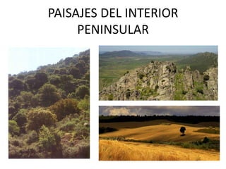 PAISAJES DEL INTERIOR PENINSULAR  