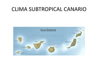 CLIMA SUBTROPICAL CANARIO  