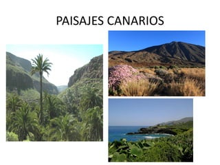 PAISAJES CANARIOS 