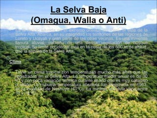 La Selva Baja
(Omagua, Walla o Anti)
• Es la región situada en el extremo oriental del Perú, al este de la
Selva Alta. Abarca, en su integridad los territorios de las regiones de
Loreto y Ucayali y gran parte de las otras vecinas. Es una inmensa
llanura aluvial, cubierta de una densa vegetación de bosque
tropical. Su limite occidental esta en la costa de los 500 m de altitud,
que la separa de la Selva Alta.
Clima
• Tiene un clima tropical con temperaturas mucho más altas que las
registradas en el Selva Alta. La temperatura media anual es de 30
ºC y con poca variación térmica durante el año que es muy caluroso
o calido. La máxima temperatura absoluta fue registrada en 1963,
en la localidad de Neshuya (41ºC). La mínima absoluta varia entre
10 y 18 ºC.
 